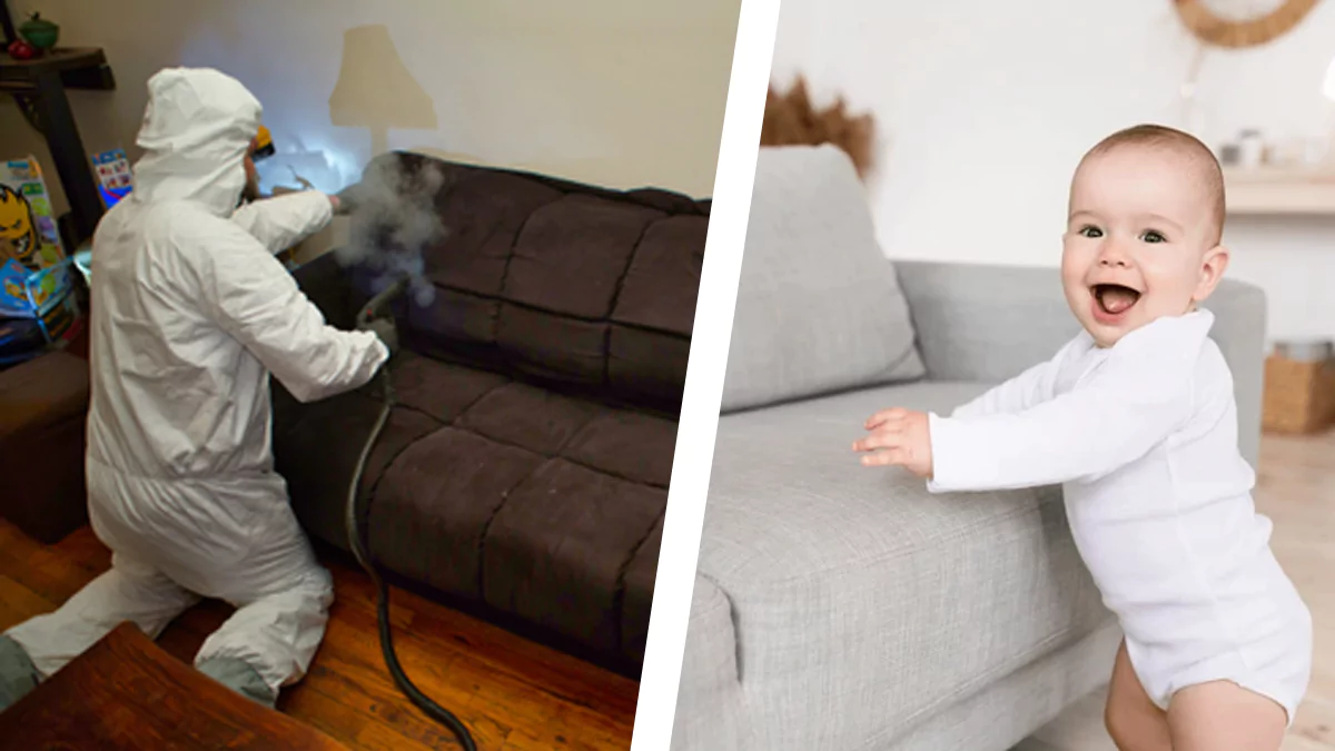 ágyi poloska irtás gőzzel