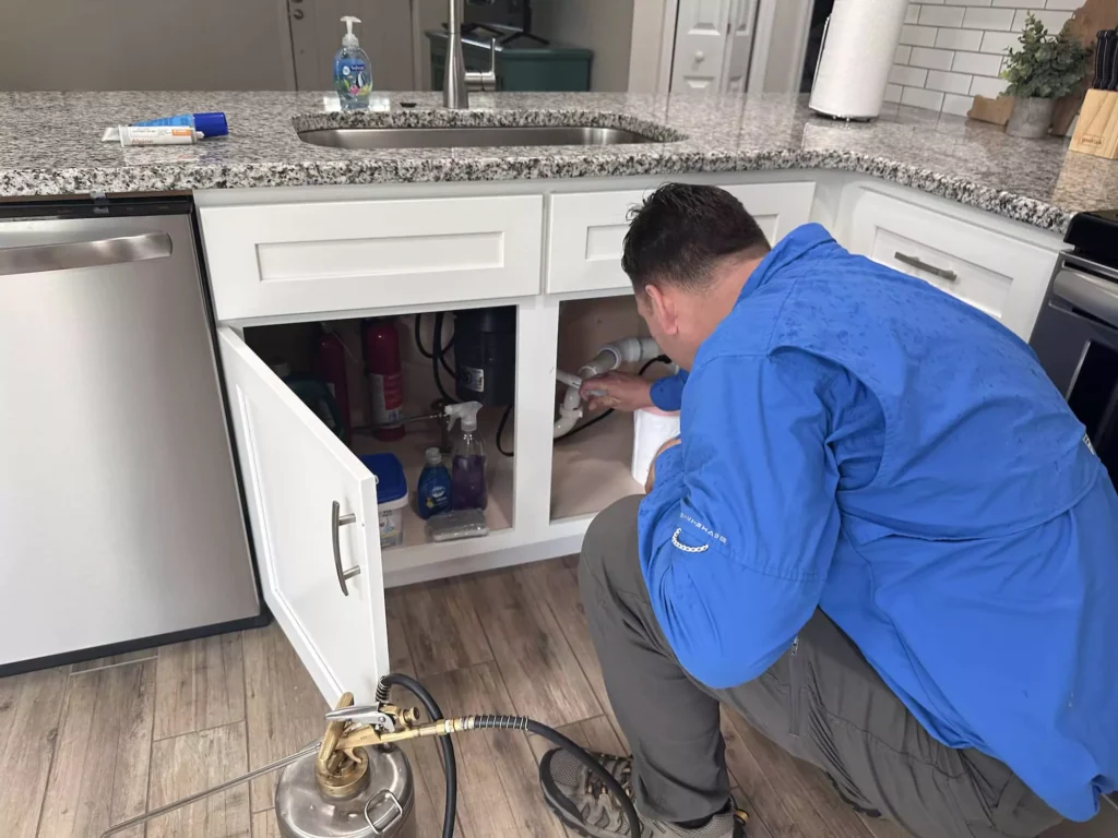 Hangyairtás lakásban: Miért buknak el a bolti szerek? 1 Kártevőirtás és rovarirtás Budapest